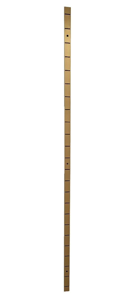 Wandrek rails Laser goud 240 cm